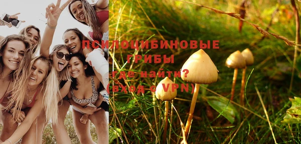 MDMA Михайловка