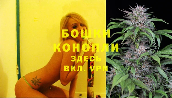 мдпв Михайлов