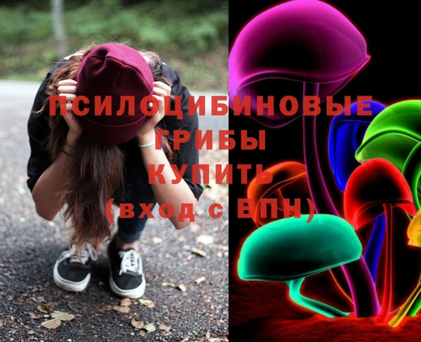 мдпв Михайлов